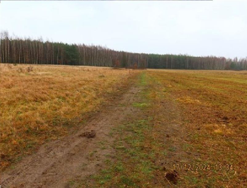 Sprzedam działkę 1 ha, Jamki, gm. Potworów, mazowieckie