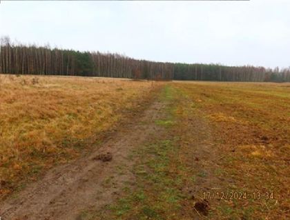 Sprzedam działkę 1 ha, Jamki, gm. Potworów, mazowieckie
